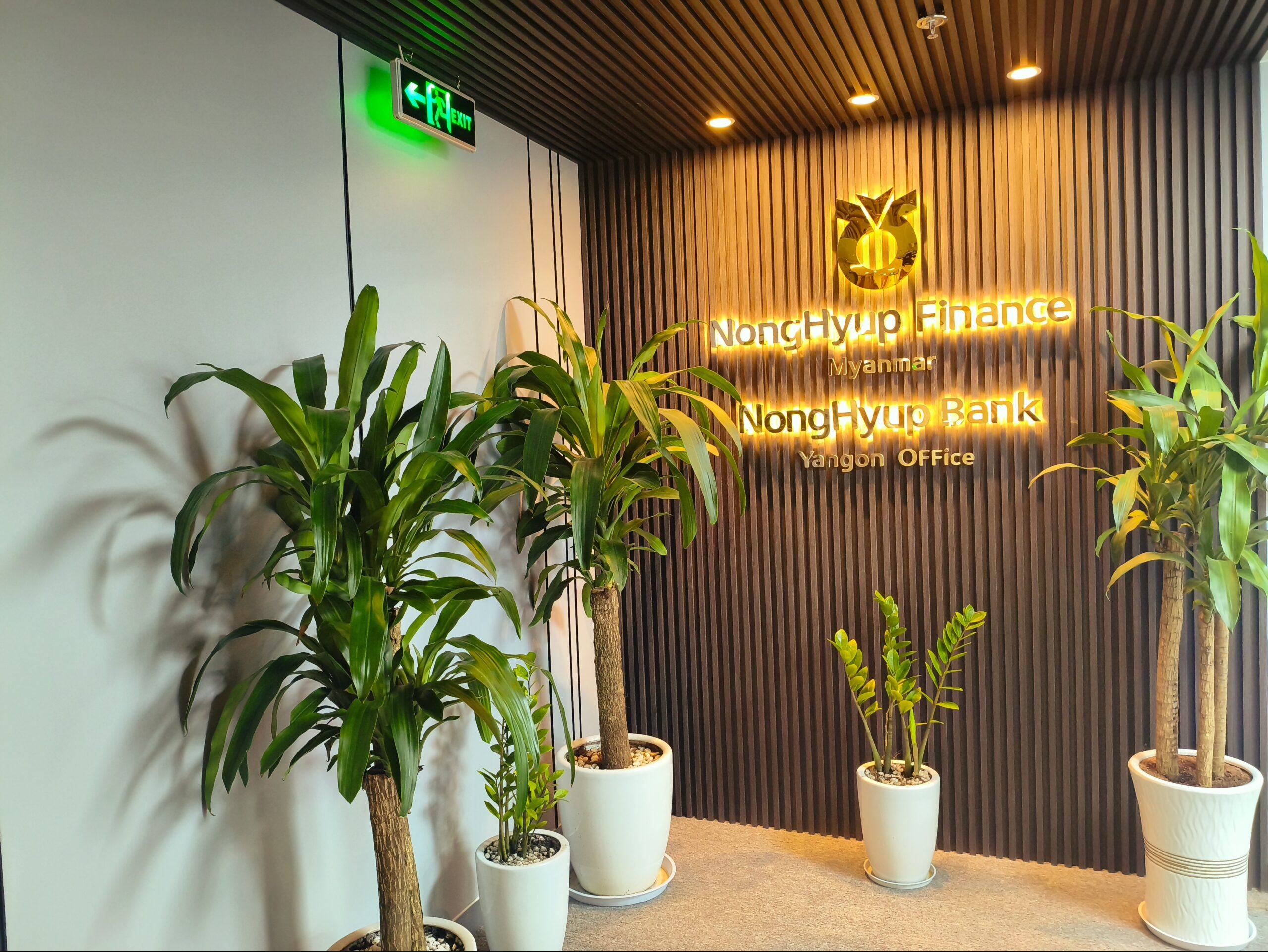 mvimg 20251028 134519